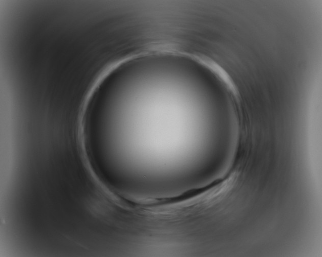 X0000092101389200710031204