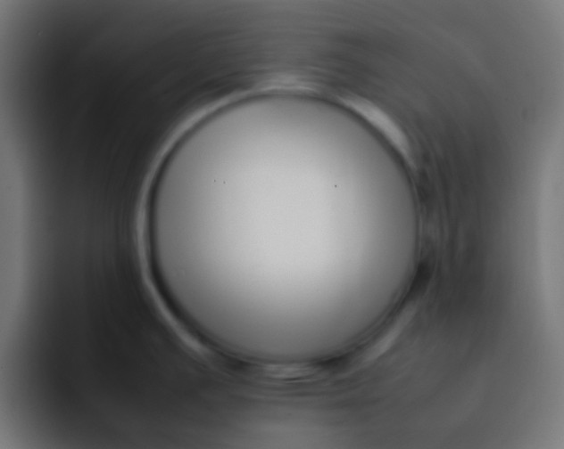 X0000092101391200710031204