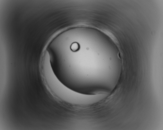 X0000092101392200710031204