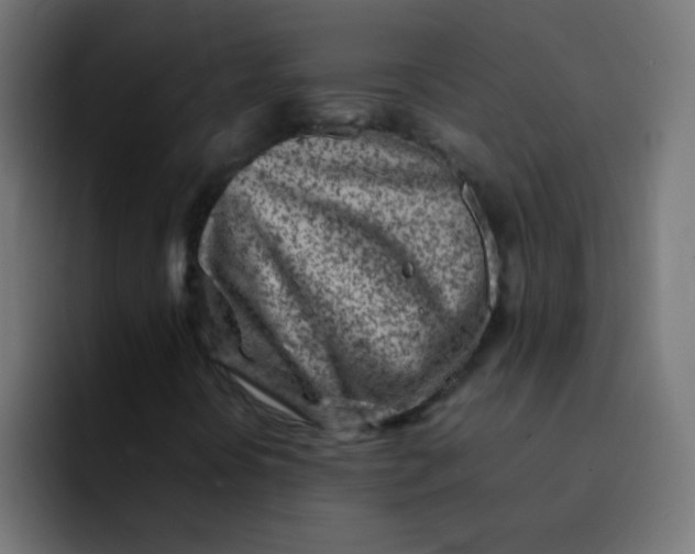 X0000092101394200710031204