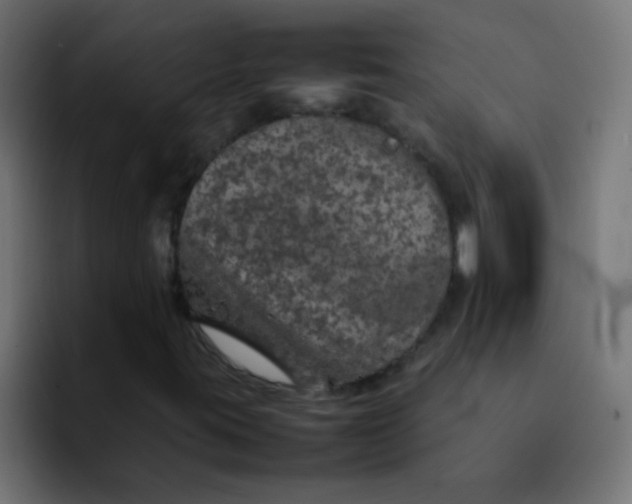 X0000092101395200710031204