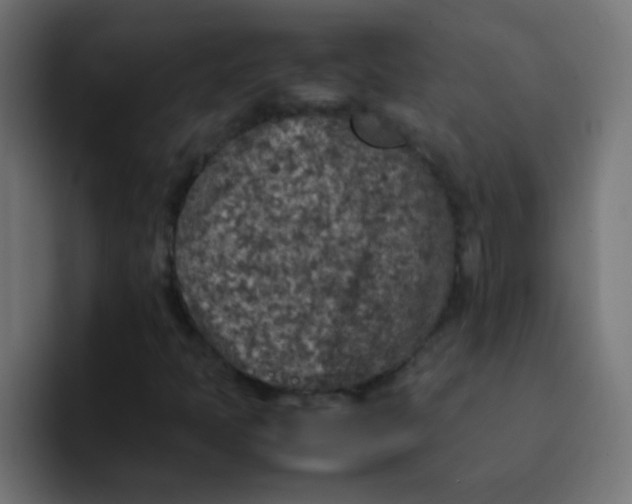 X0000092101397200710031204