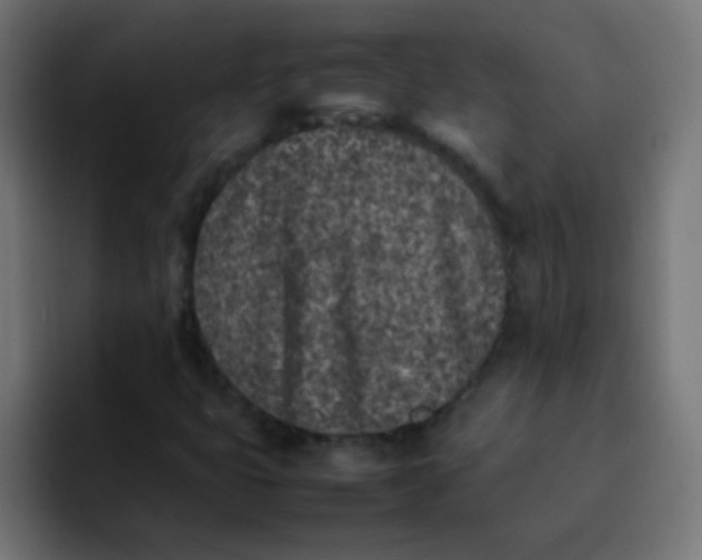 X0000092101399200710031204