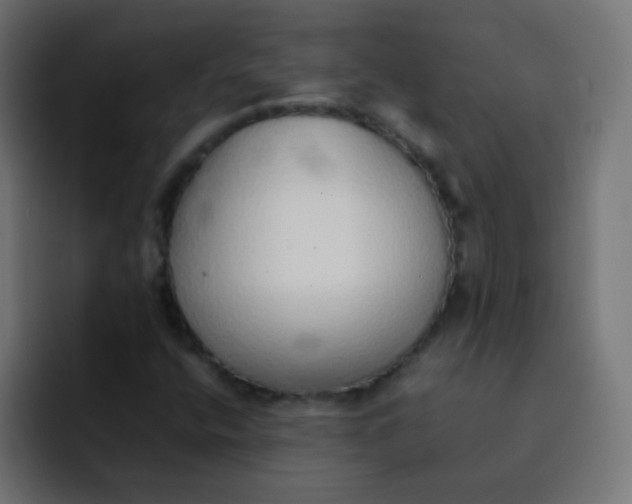 X0000092101400200710031204