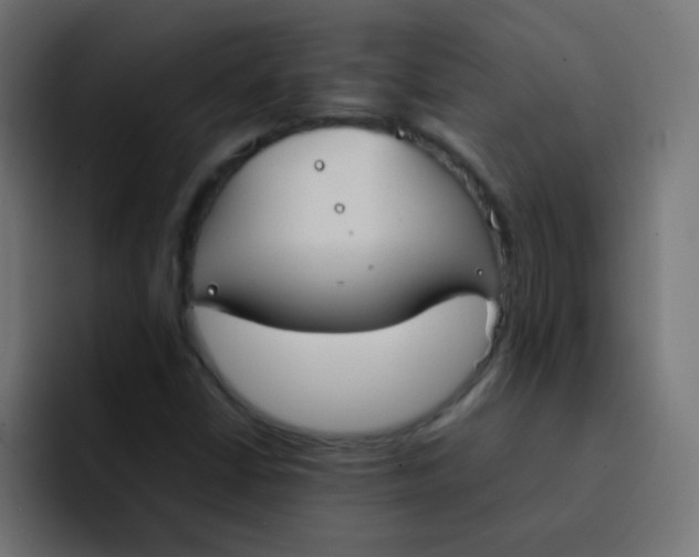 X0000092101402200710031204