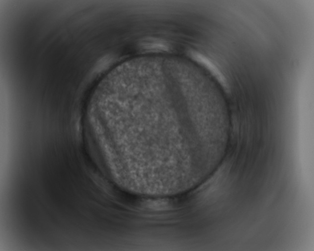 X0000092101403200710031204