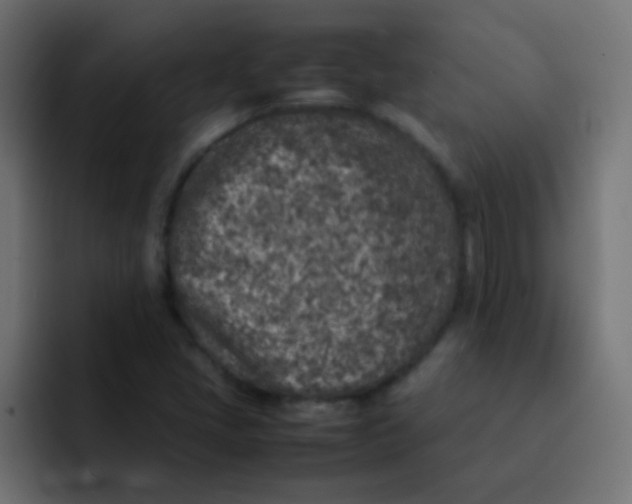 X0000092101405200710031204