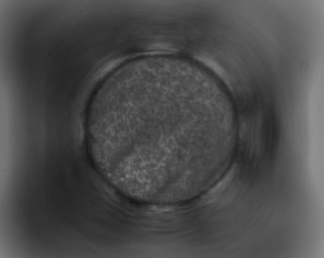 X0000092101407200710031204