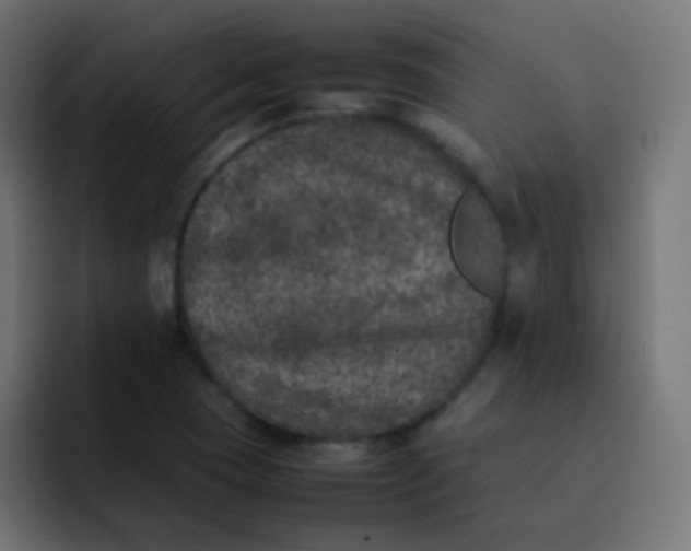 X0000092101409200710031204