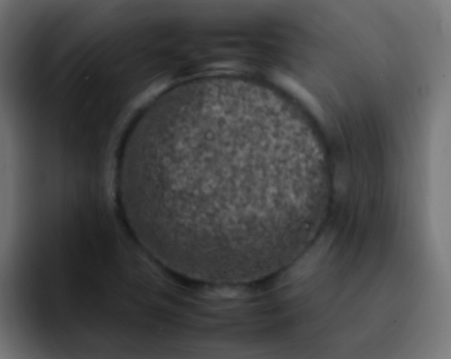 X0000092101411200710031204