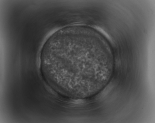 X0000092101413200710031204