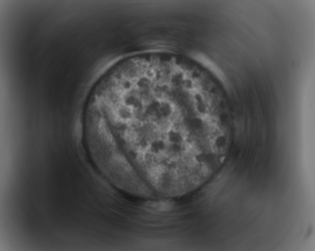 X0000092101415200710031204