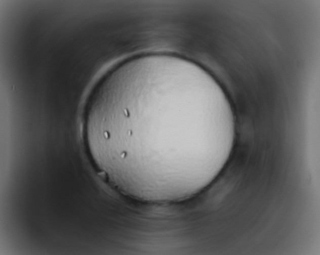 X0000092101416200710031204