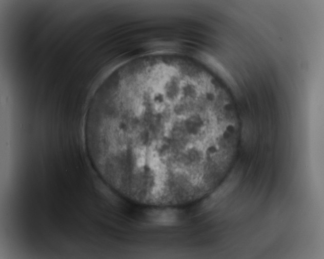 X0000092101417200710031204