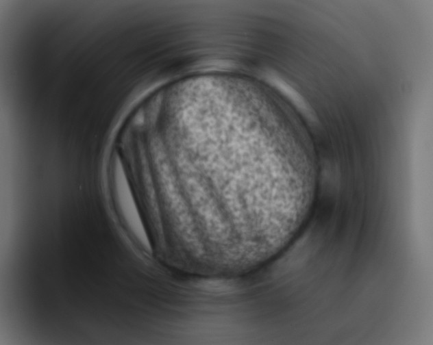 X0000092101418200710031204