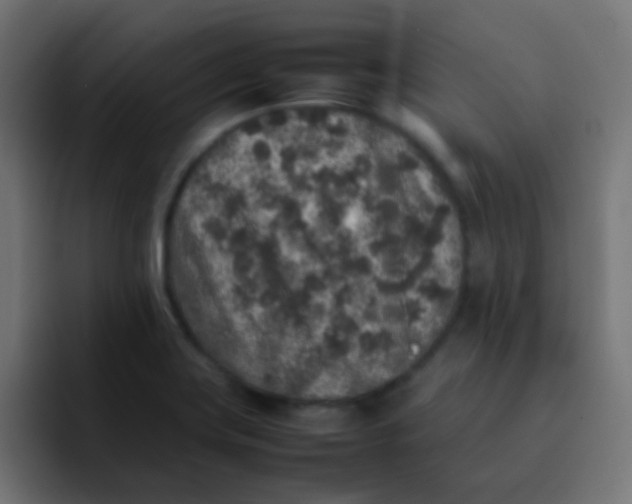 X0000092101419200710031204