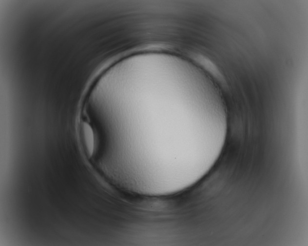 X0000092101420200710031204