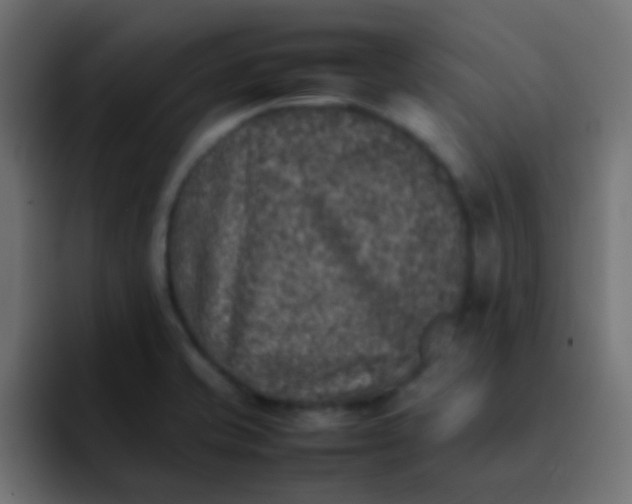 X0000092101421200710031204