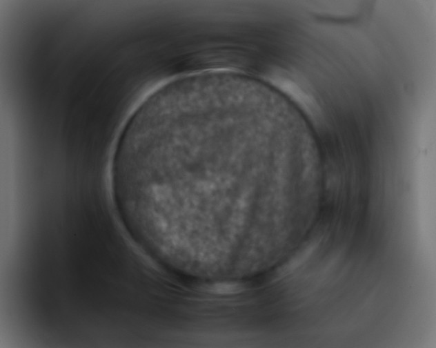 X0000092101423200710031204