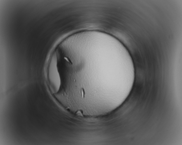 X0000092101424200710031204