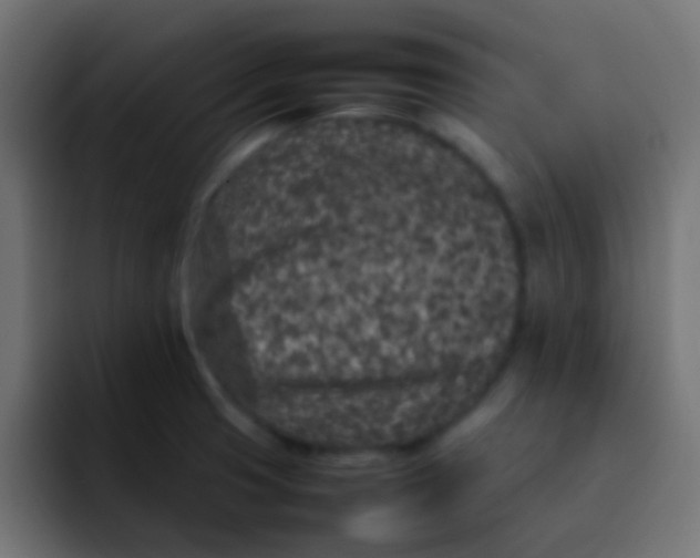 X0000092101425200710031204