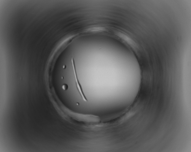 X0000092101426200710031204