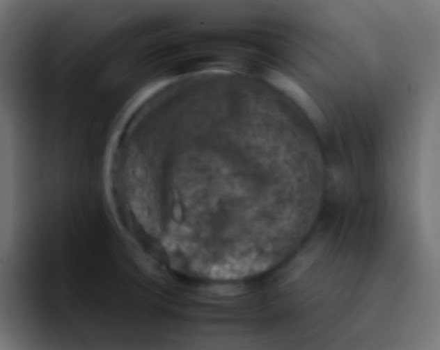 X0000092101427200710031204