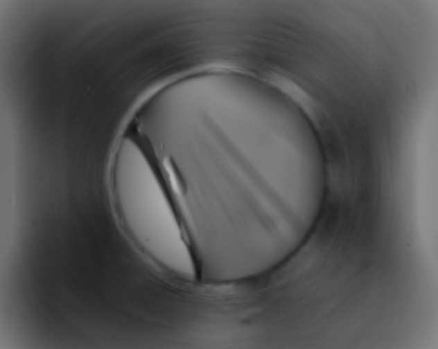 X0000092101428200710031204