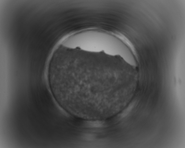 X0000092101429200710031204