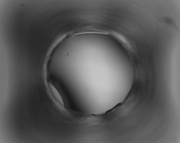 X0000092101430200710031204