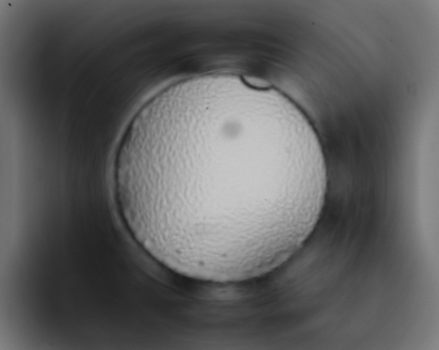 X0000092101431200710031204