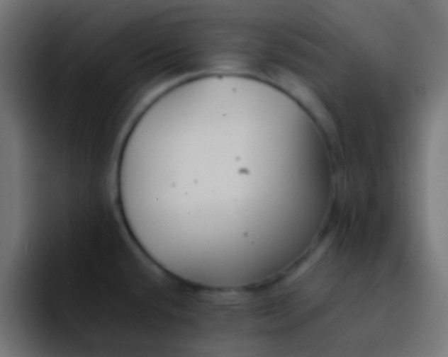 X0000092101432200710031204