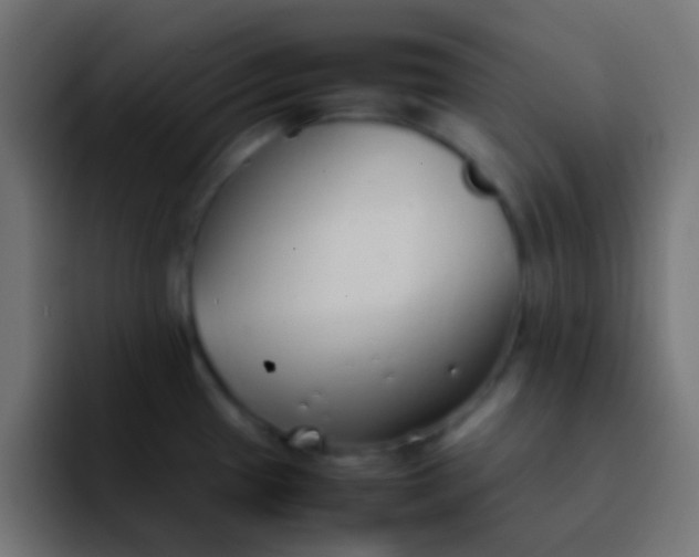 X0000092101433200710031204