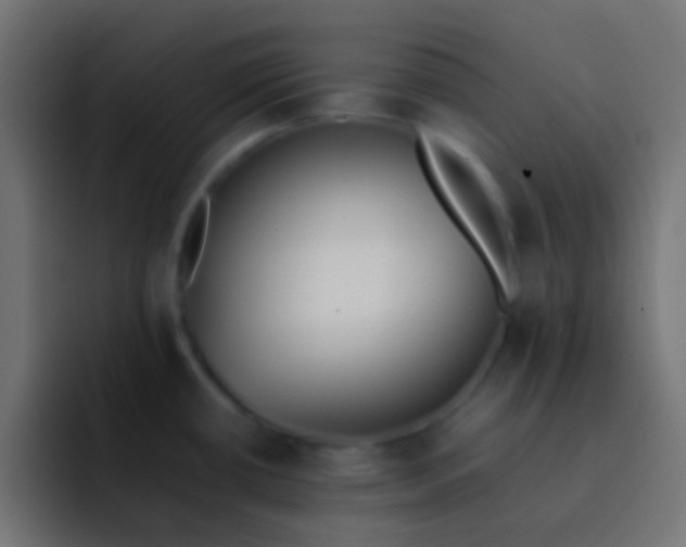 X0000092101434200710031204