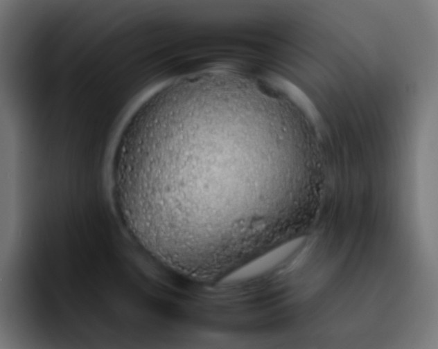 X0000092101435200710031204