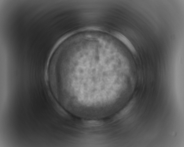 X0000092101436200710031204