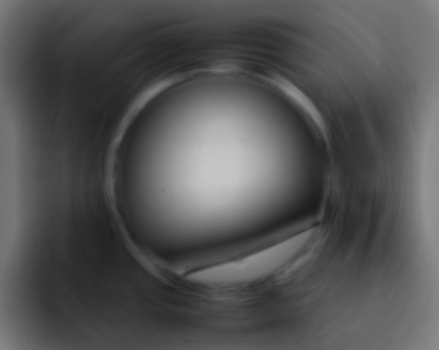 X0000092101437200710031204