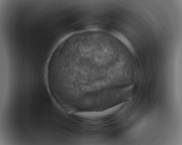 X0000092101439200710031204