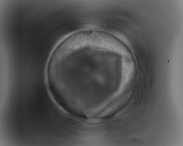 X0000092101440200710031204