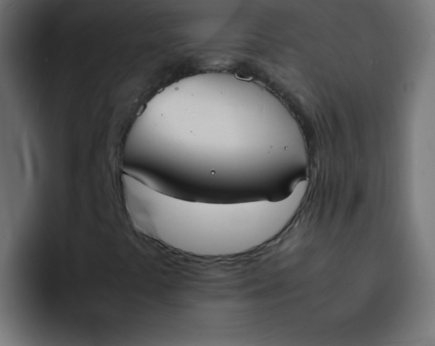 X0000092101441200710031204