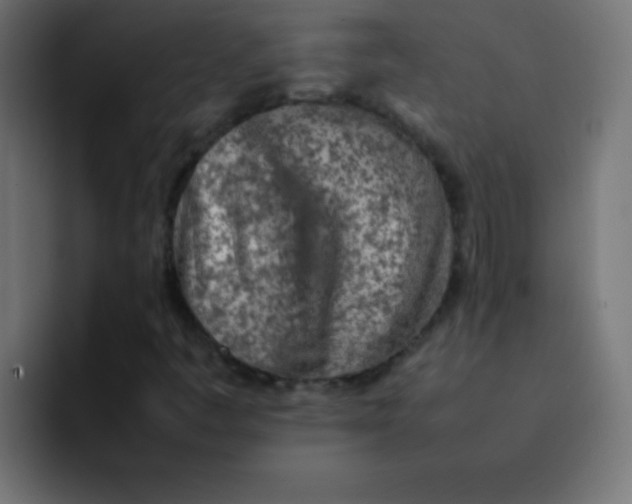 X0000092101445200710031204