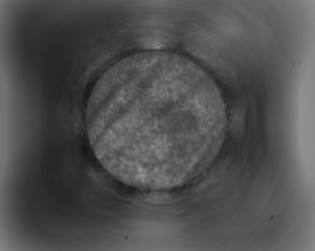 X0000092101446200710031204