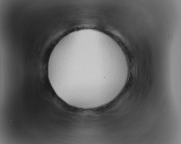 X0000092101448200710031204