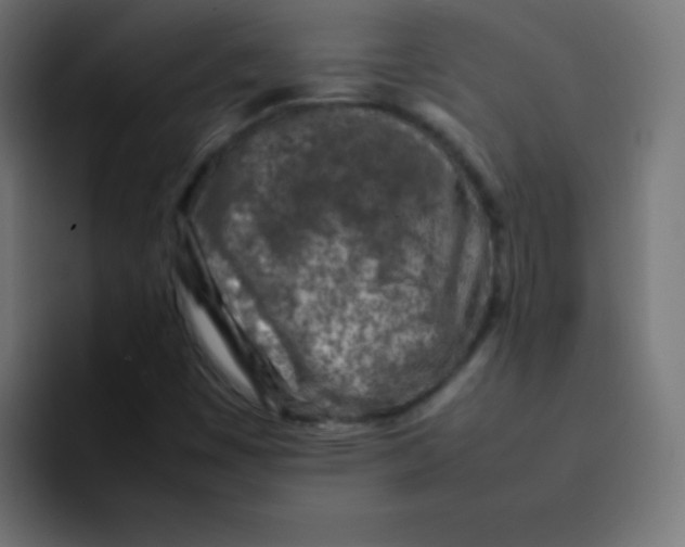 X0000092101449200710031204