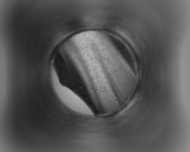 X0000092101453200710031204