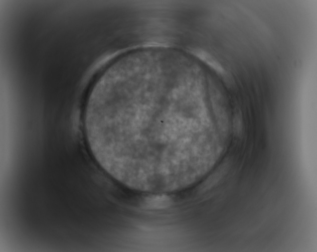 X0000092101454200710031204