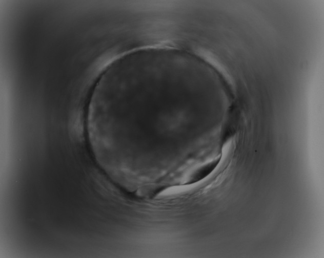 X0000092101455200710031204