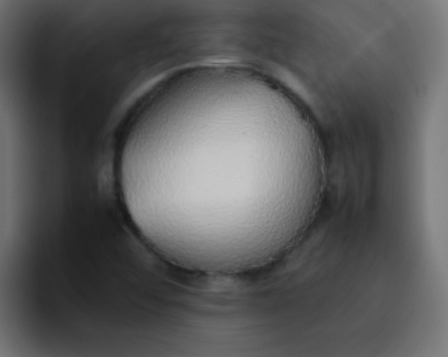 X0000092101456200710031204