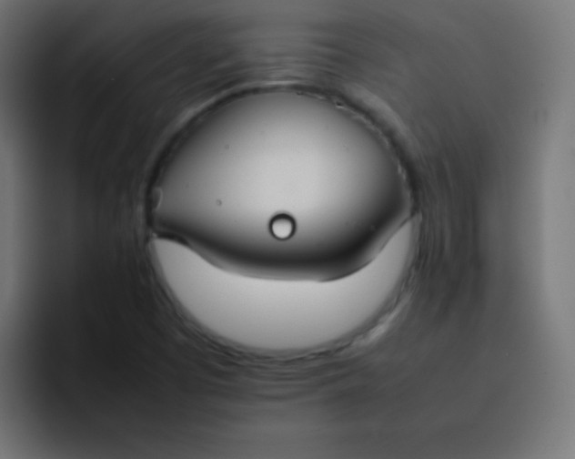 X0000092101457200710031204