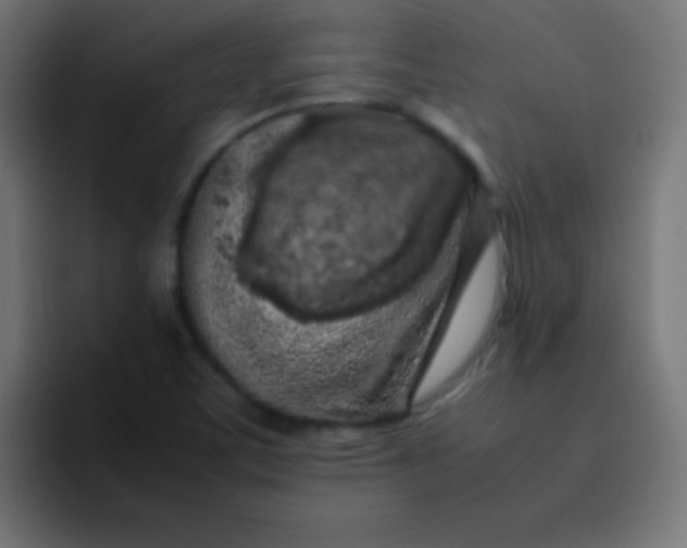 X0000092101459200710031204